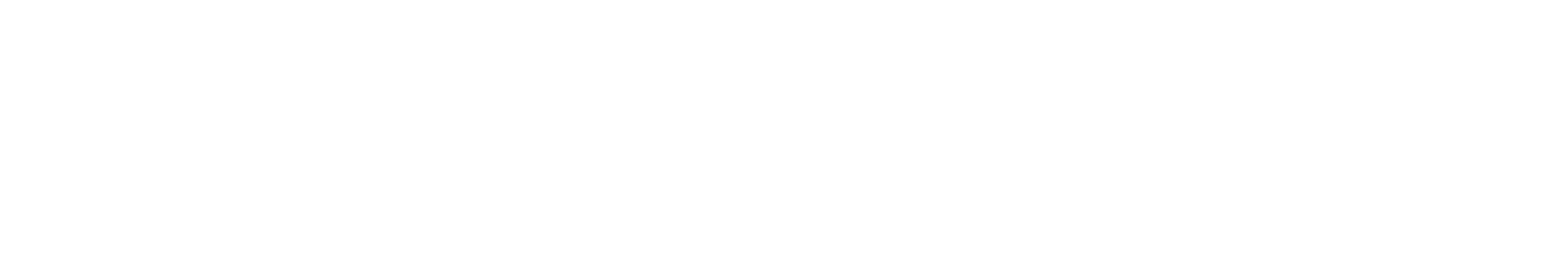Partner 13
